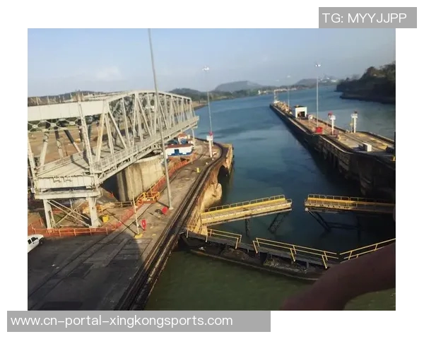 马力克的传奇旅程与奋斗精神启示我们追求梦想的勇气与坚持